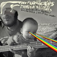Flaming Lips - Dark Side of the Moon